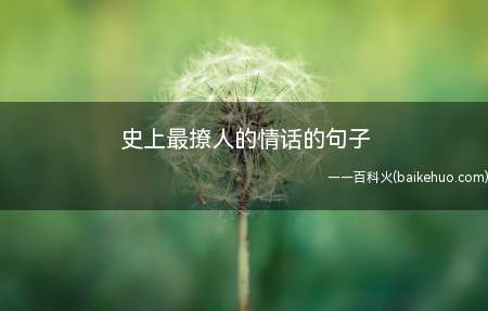 史上最撩人的情话的句子