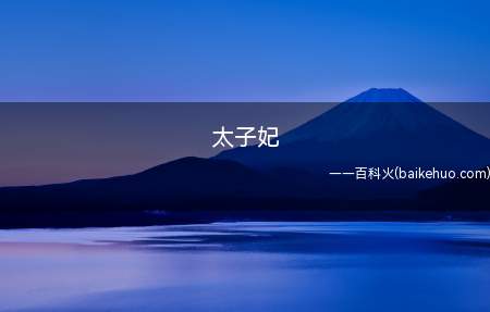 太子妃是什么意思(即肖战,现多在晋江文学城的兔区出现)