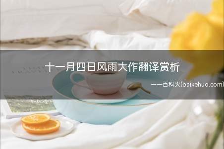 十一月四日风雨大作翻译赏析(十一月四日风雨大作二首)