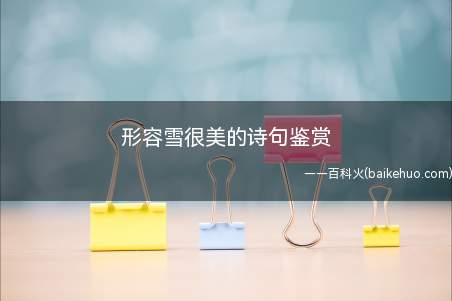 形容雪很美的诗句鉴赏(100句关于雪的诗、词、文)