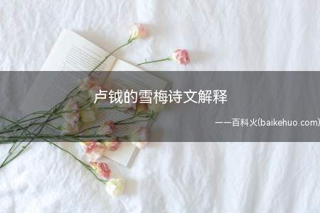 卢钺的雪梅诗文解释(因本人的)