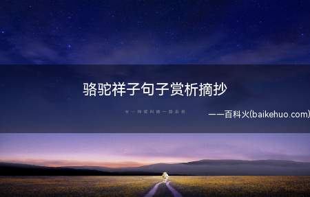 骆驼祥子句子赏析摘抄(越想走捷径的人,只会越容易走上绝路)