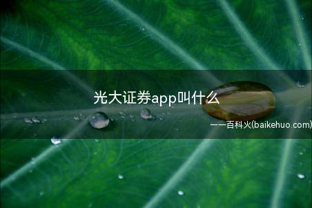 光大证券app叫什么（光大金阳光v6.0.1）