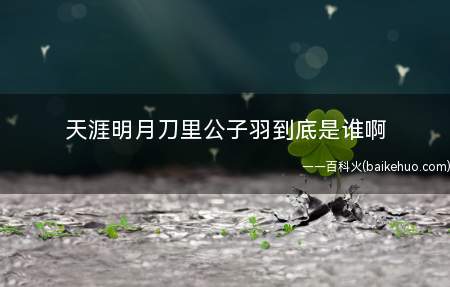 天涯明月刀里公子羽到底是谁啊(公子羽的亲生母亲是杨常风的儿子,叶凯和傅红雪是同父异母的兄弟)