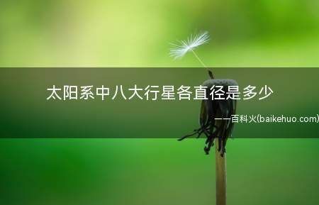 太阳系中八大行星各直径是多少(八大太阳系行星的直径如下)