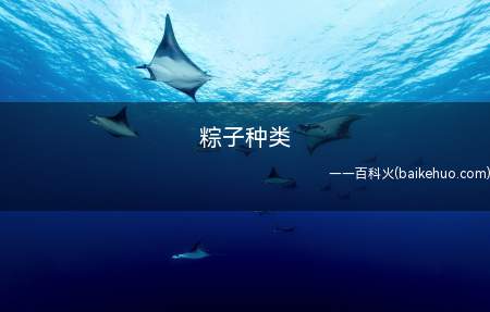 粽子种类(广东粽子的经典搭配是什么?)