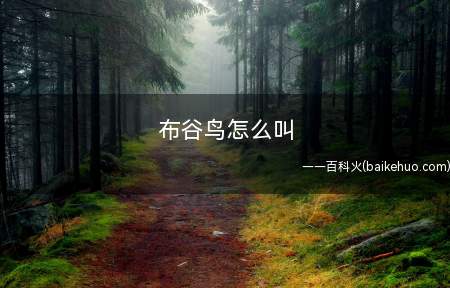 布谷鸟怎么叫(布谷鸟的叫声代表着春天的到来)