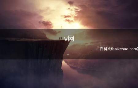 v网(VPMN网_安卓应用下载)