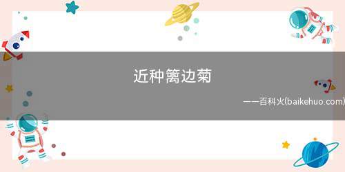 近种篱边菊(靠近篱笆的菊花,秋天没有花)
