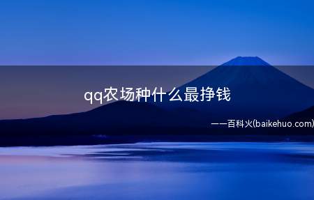 qq农场种什么最挣钱（qq农场赚钱快的依旧是聚宝盘做到1791金币每小时(黑土为标）