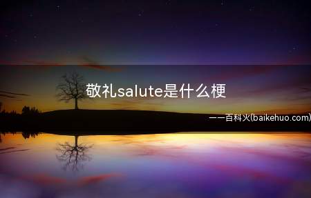 敬礼salute是什么梗(“敬礼salute”的梗就是敬礼的意思,向对方表示致敬和尊敬)