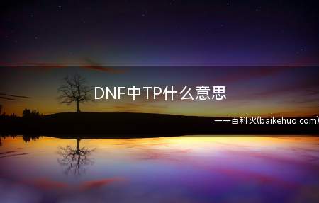 DNF中TP什么意思（TP点是给特性技能加一点的技能点）