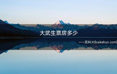 大武生票房多少(大武生票房4267)