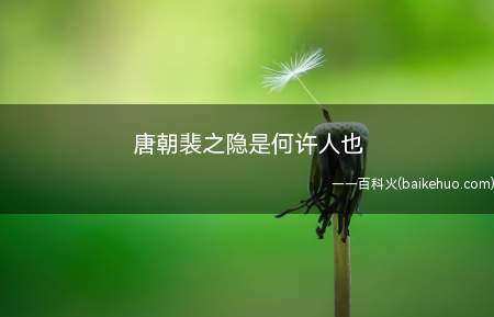 唐朝裴之隐是何许人也(唐代司农少卿是四品官职)