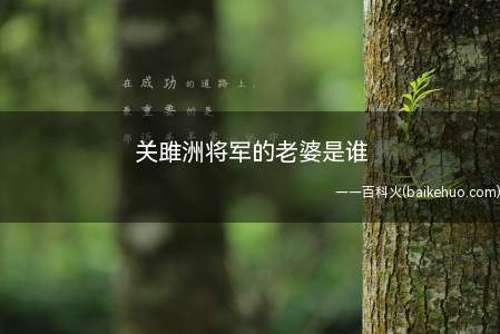 关雎洲将军的老婆是谁（何翠花和关雎洲2个人的情感在战争中逐渐加重）