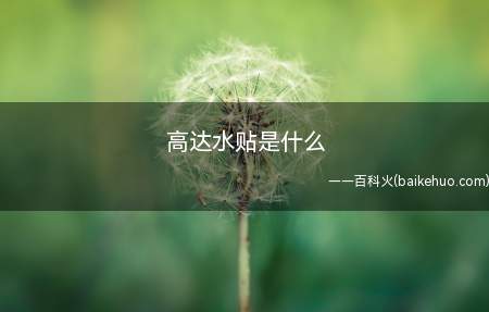 高达水贴是什么（水贴纸是一种非常薄的贴纸）