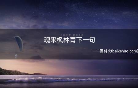 魂来枫林青下一句(水位波浪纹阔,无使蛟龙图片得)