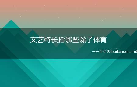 文艺特长指哪些除了体育（音乐艺术类:乐器演奏(小提琴,笛子,琵琶,古筝等)）