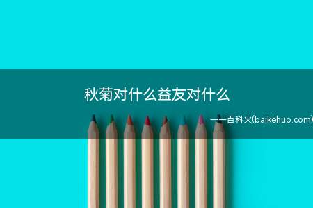 秋菊对什么益友对什么(秋菊对冬梅,益友对良师)