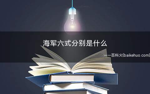 海军六式分别是什么(六式指枪、岚脚、剃、纸绘、月步、铁块 这六个海贼王动漫中的招)