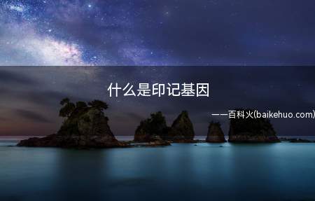 什么是印记基因(印记基因的存在反映了性别的竞争)