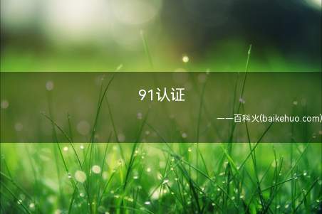 91认证是什么梗(91.COM)