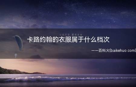 卡路约翰的衣服属于什么档次