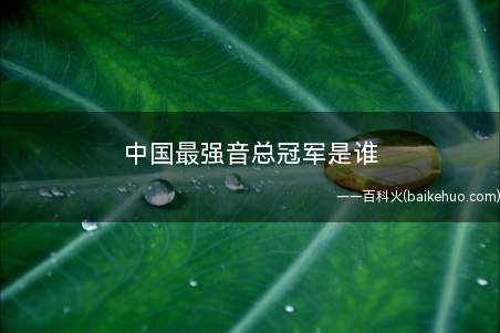 中国最强音总冠军是谁