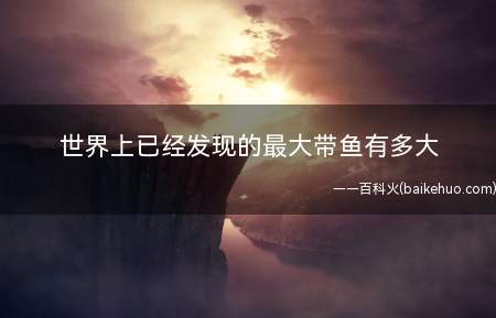 世界上已经发现的最大带鱼有多大