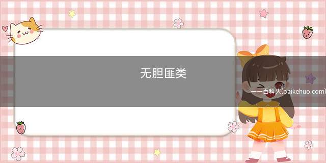 无胆匪类是什么意思