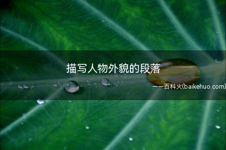 描写人物外貌的段落