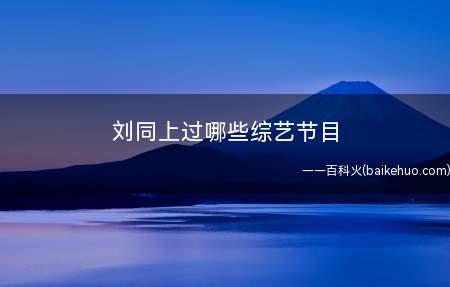 刘同上过哪些综艺节目