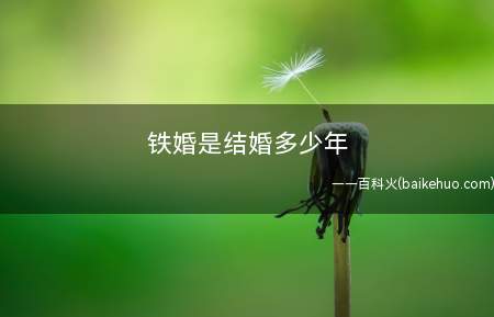 铁婚是结婚多少年