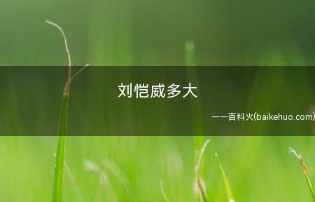 刘恺威多大