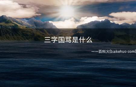 三字国骂是什么