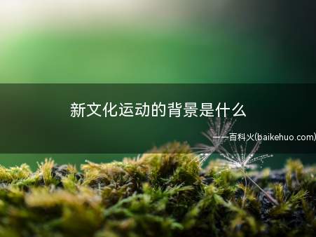 新文化运动的背景是什么