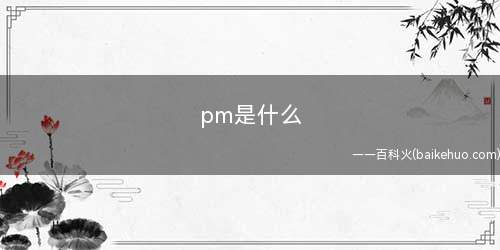 pm是什么