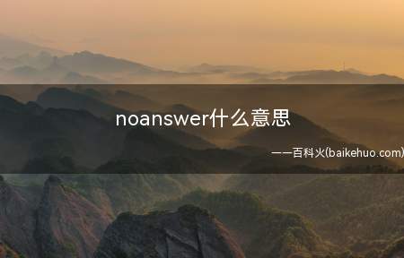 noanswer什么意思