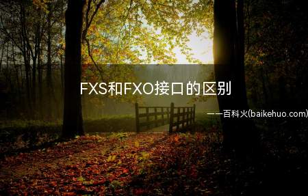 FXS和FXO接口的区别
