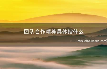 团队合作精神具体指什么