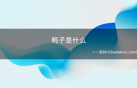 鸭子是什么