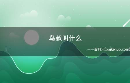鸟叔叫什么