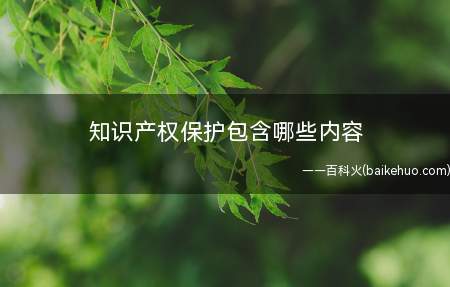 知识产权保护包含哪些内容