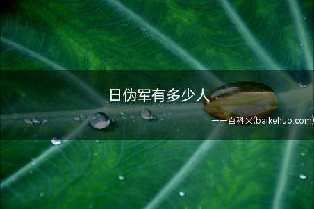日伪军有多少人
