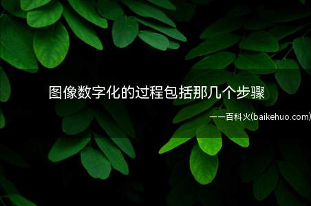 图像数字化的过程包括那几个步骤