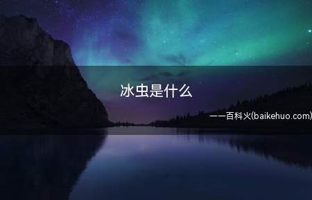 冰虫是什么