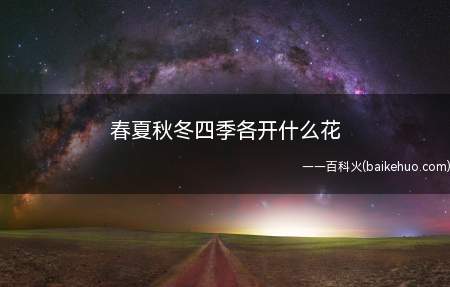 春夏秋冬四季各开什么花