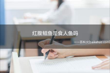 红腹鲳鱼是食人鱼吗