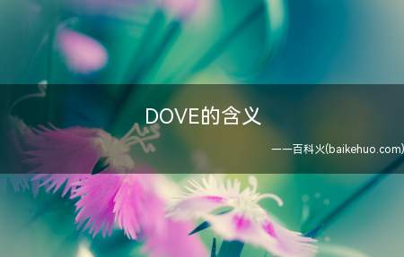 DOVE的含义