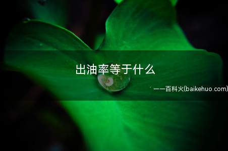 出油率等于什么